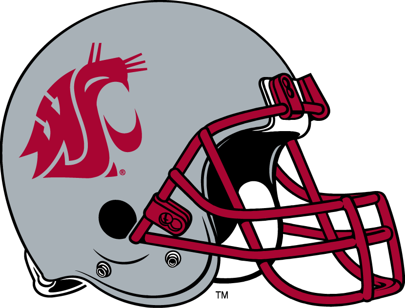 Washington State Cougars 1999-Pres Helmet Logo diy iron on heat transfer